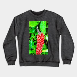 Red peppercorn with bird beak Crewneck Sweatshirt